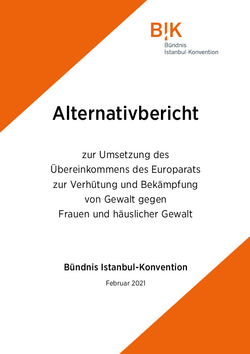Alternativbericht Bündnis IK